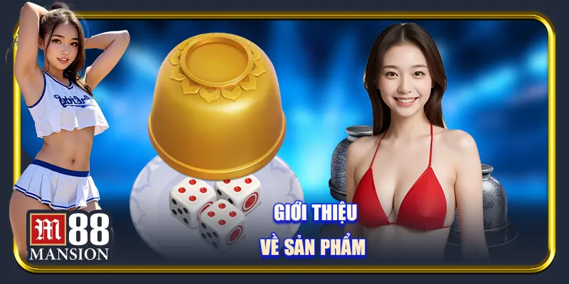 Giới thiệu về sản phẩm 